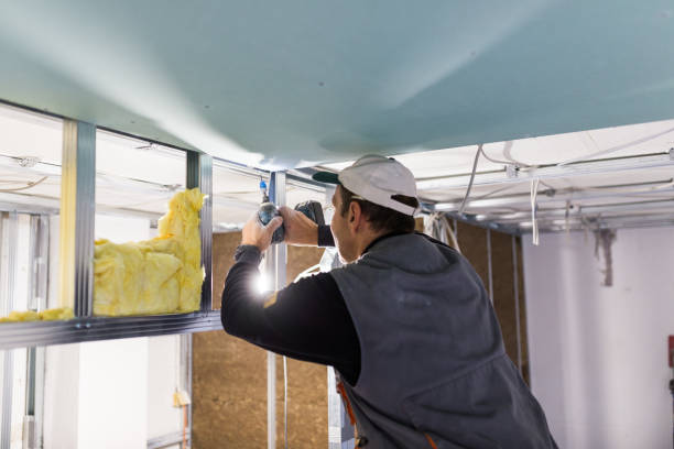 Best Insulation Maintenance and Repair in Trenton, MO