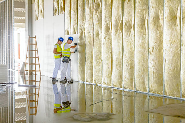 Best Commercial Insulation in Trenton, MO